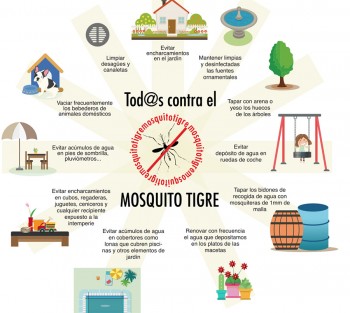Mosquito tigre