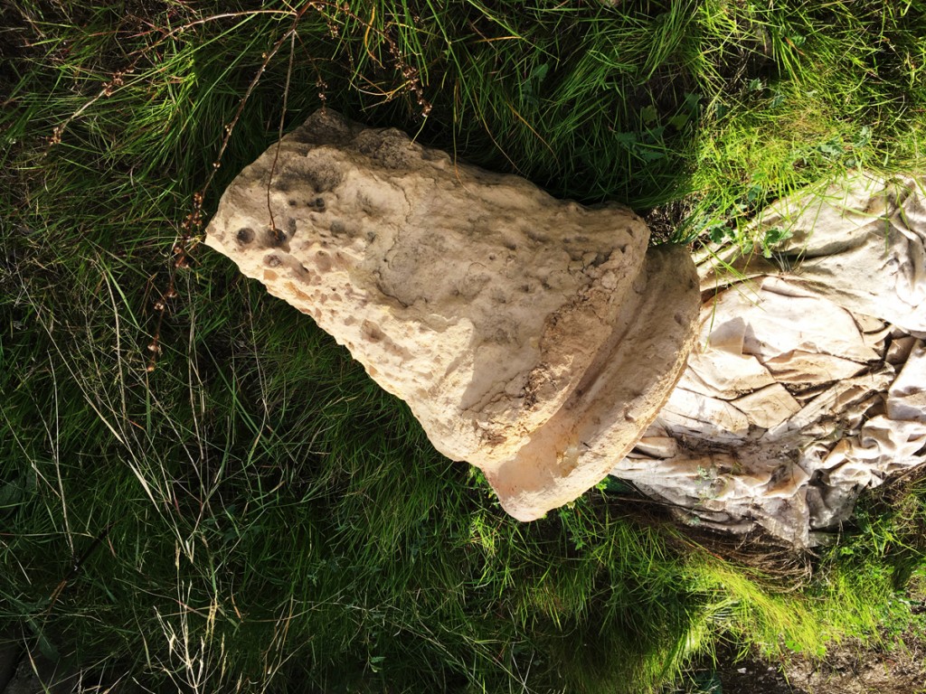 Pieza arqueológica abandonada en yacimiento del Parque de las Naciones