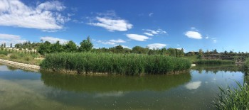 Parque inundable La Marjal
