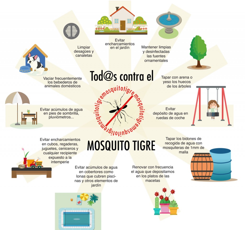 Todos contra el mosquito tigre