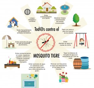 Todos contra el mosquito tigre