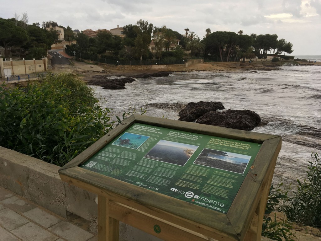 Temporal en la Calita - Cabo de las Huertas