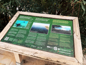 Mesa de campaña sobre los arribazones de Posidonia
