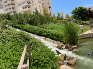 Parque inundable de La Marjal
