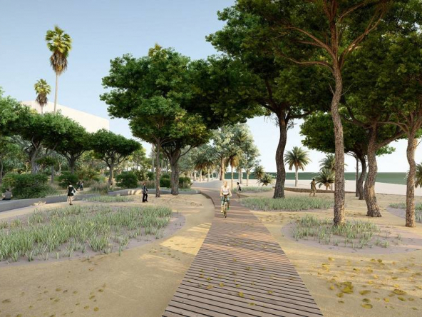 Proyecto de la Playa Almadraba 2024